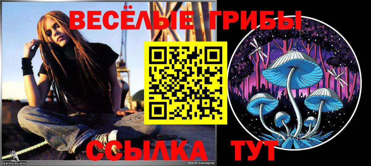 Псилоцибиновые грибы MAGIC MUSHROOMS  Псилоцибиновые грибы Psilocybe  Вход с VPN  Елизово 
